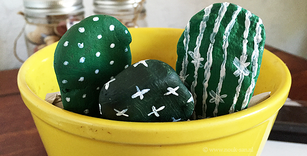 Cactus stenen