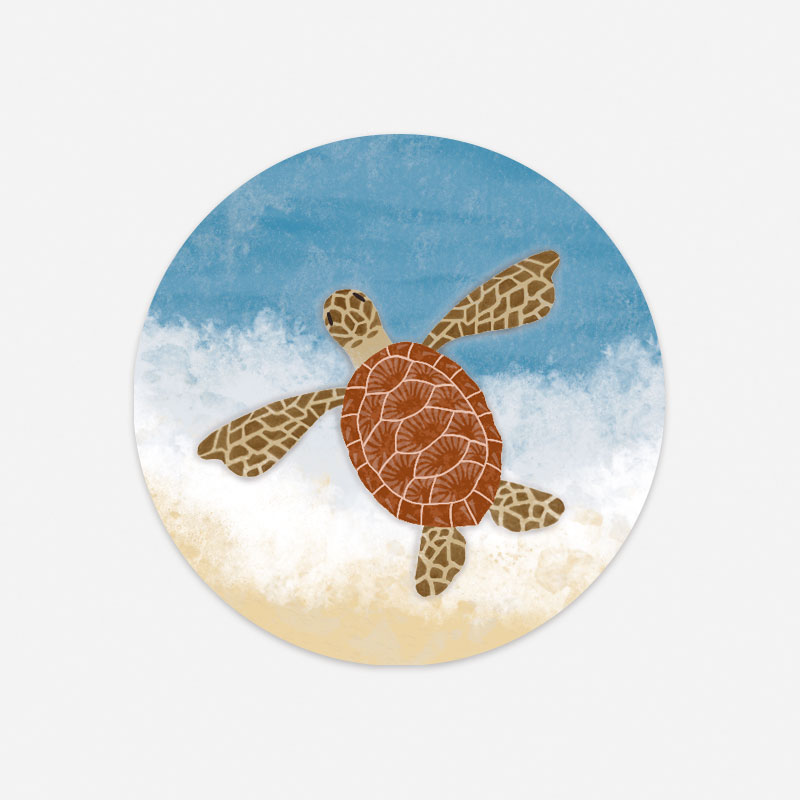 Sluitzegels zeeschildpad op strand achtergrond